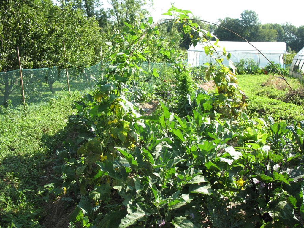 Bioagriturismo Vegan Campo Di Cielo Cesiomaggiore Экстерьер фото