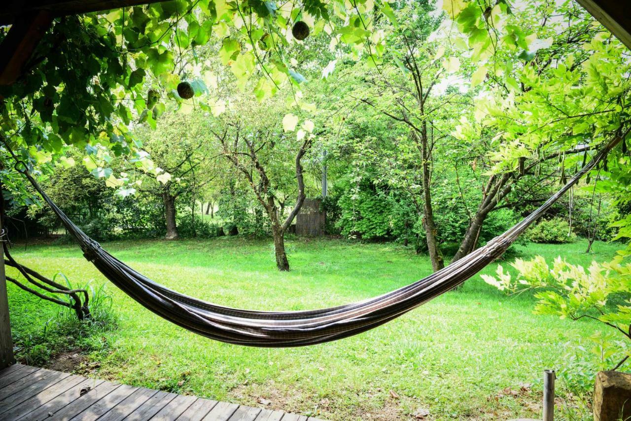 Bioagriturismo Vegan Campo Di Cielo Cesiomaggiore Экстерьер фото