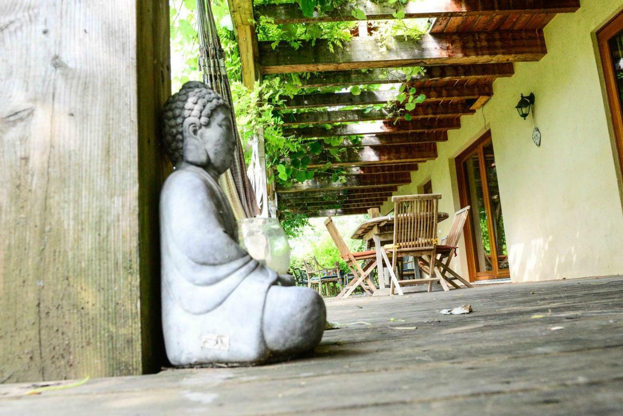 Bioagriturismo Vegan Campo Di Cielo Cesiomaggiore Экстерьер фото